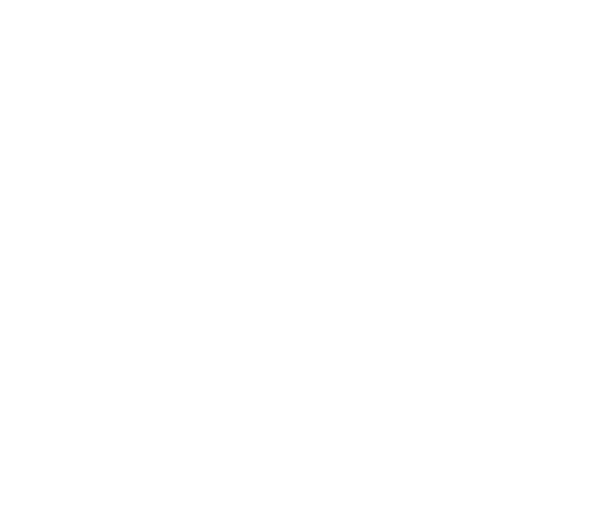 The Nexus Collective